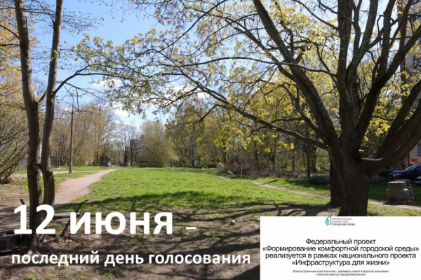 Выборг: до окончания голосования осталось два дня