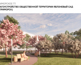 Как преобразится общественная территория в Выборгском районе в 2026 году - выбор за вами!