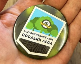 Всероссийский день посадки леса в Выборгском районе