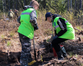 Всероссийский день посадки леса в Выборгском районе