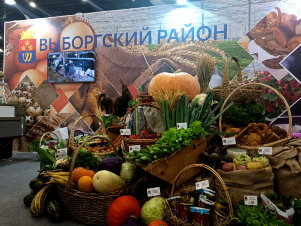 Выборгский район - на юбилейной выставке «Агрорусь-2026»